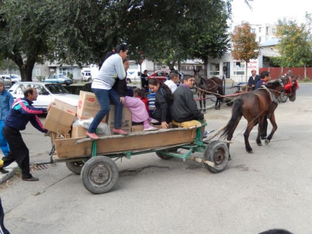 photo13.jpg