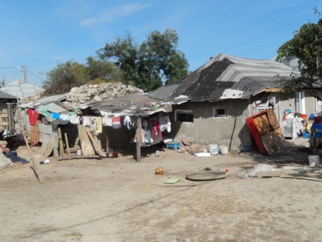 photo5.jpg