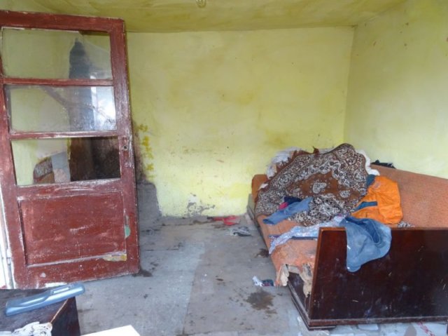 photo7.jpg