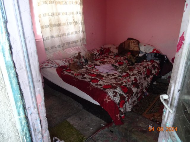dsc02240.jpg