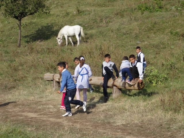 dsc01186.jpg