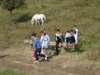 dsc01186_small.jpg
