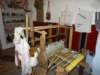 dsc01188_small.jpg