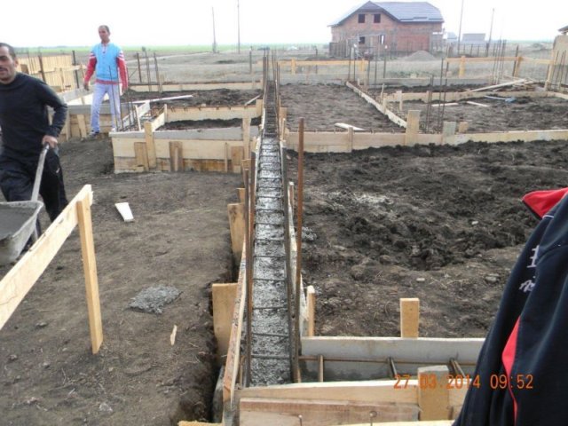 photo21.jpg