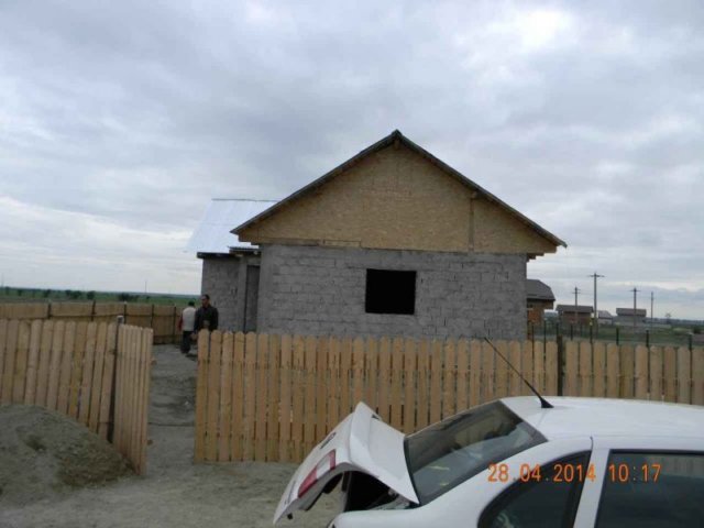 photo37.jpg