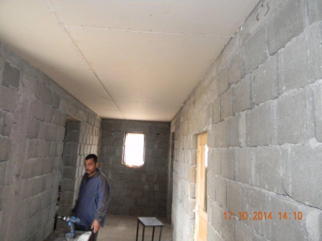 photo42.jpg