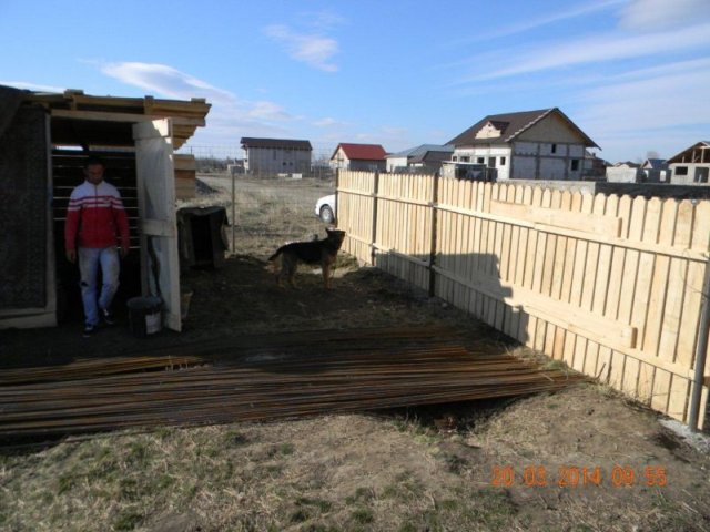 photo7.jpg